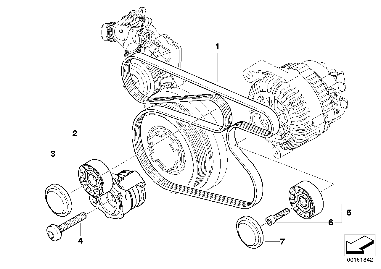 Mini 11 28 7 790 450 - Ribbed v-belt alexcarstop-ersatzteile.com