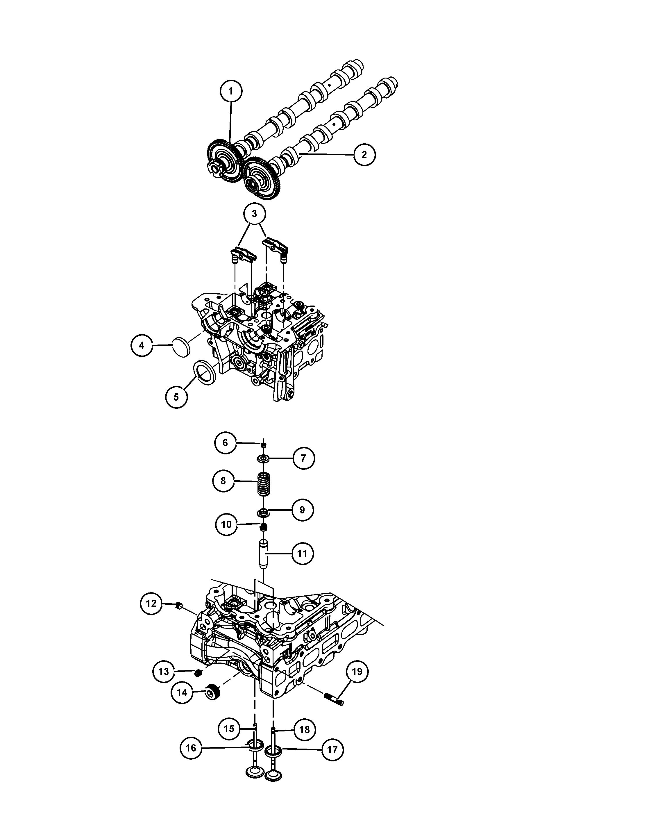 Dodge 5066 775AA - Dichtring, Ventilschaft alexcarstop-ersatzteile.com