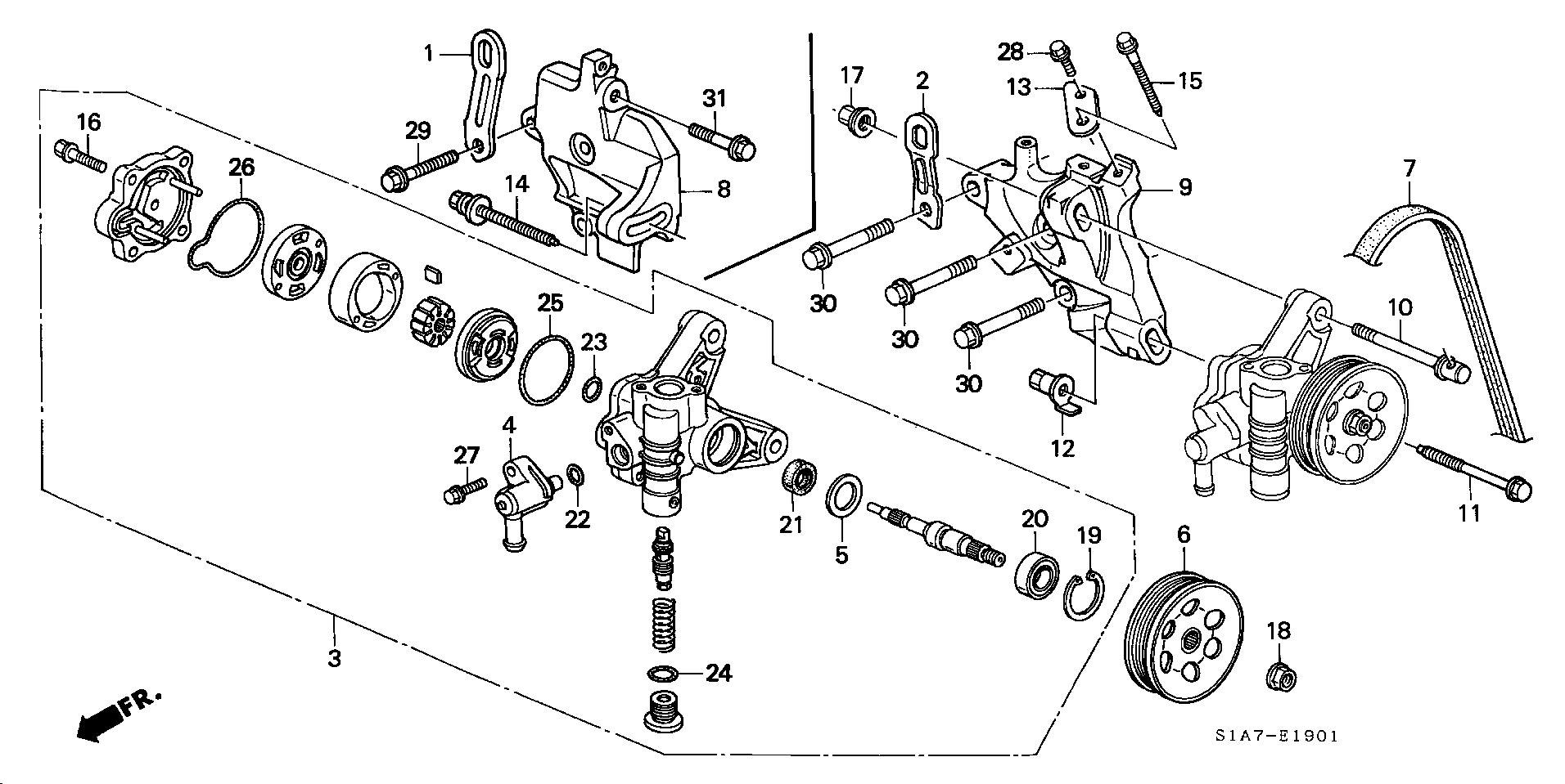 Honda 56992-PDA-E01 - Keilrippenriemen alexcarstop-ersatzteile.com