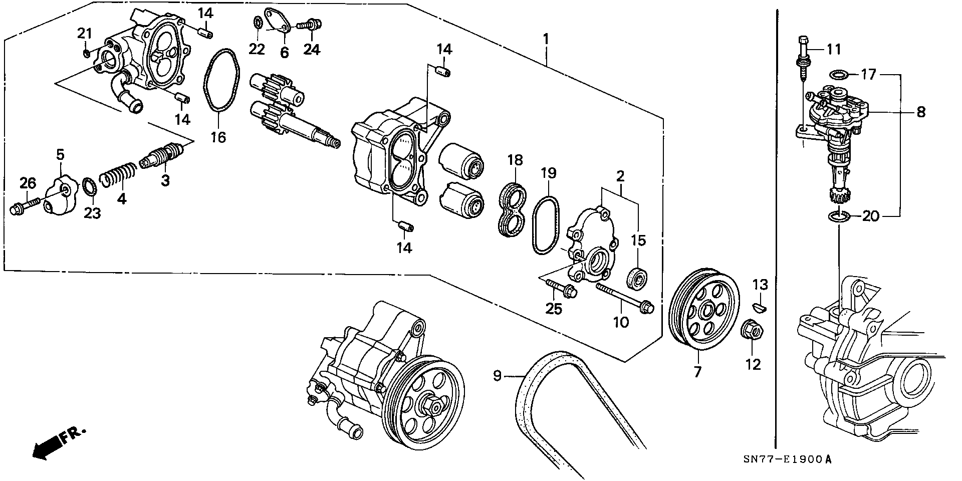 NISSAN 56992-P45-G01 - Keilrippenriemen alexcarstop-ersatzteile.com