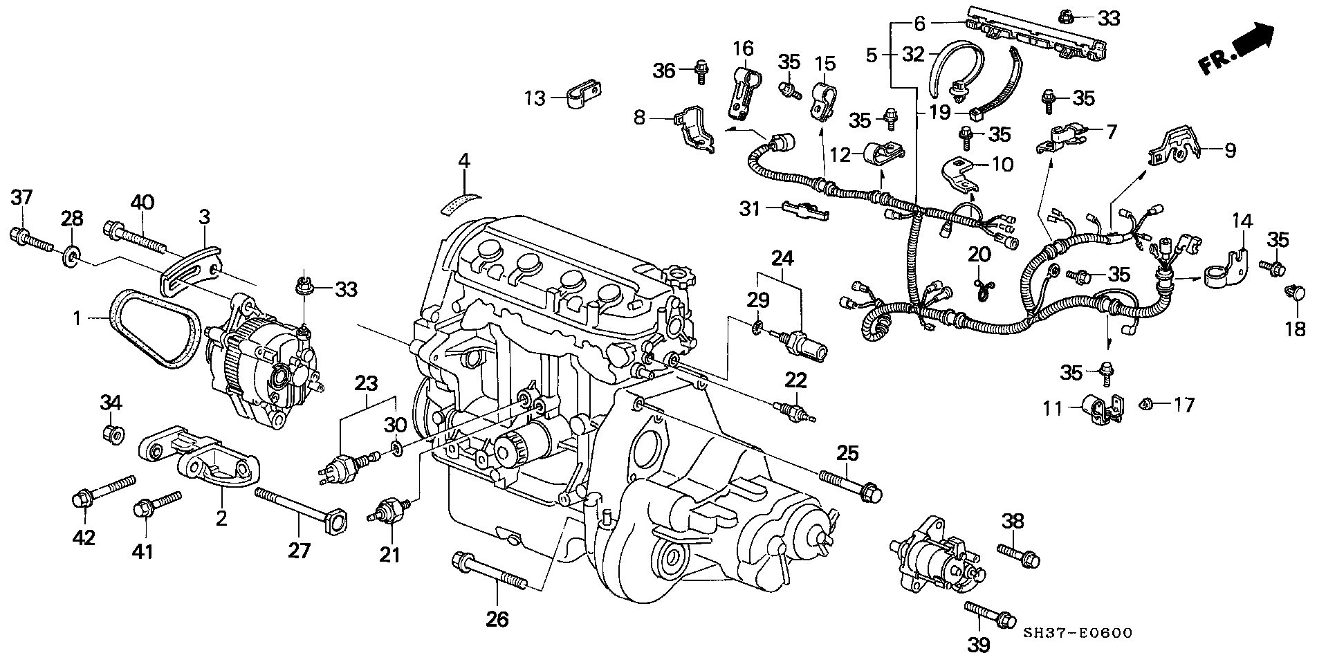 Honda 31110-PM3-003 - Keilrippenriemen alexcarstop-ersatzteile.com