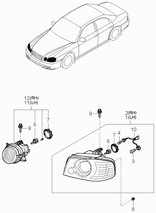 KIA 1864755007 - Glühlampe, Nebelscheinwerfer alexcarstop-ersatzteile.com