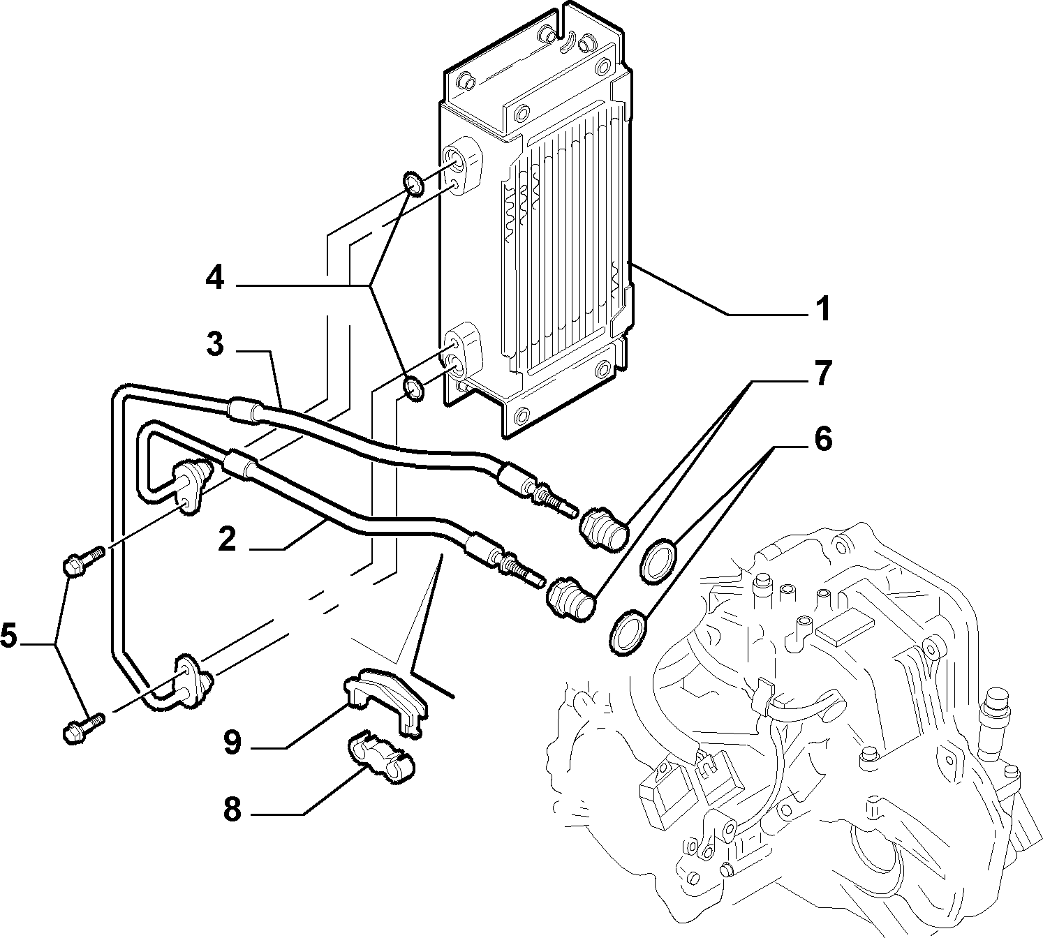 FIAT 10 261 160 - Dichtring, Ölablassschraube alexcarstop-ersatzteile.com