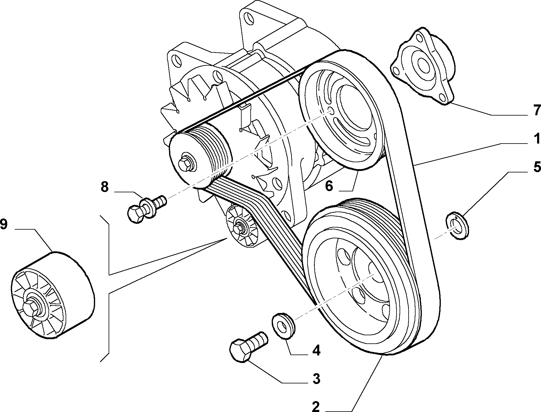 Lancia 504171191 - Keilrippenriemen alexcarstop-ersatzteile.com